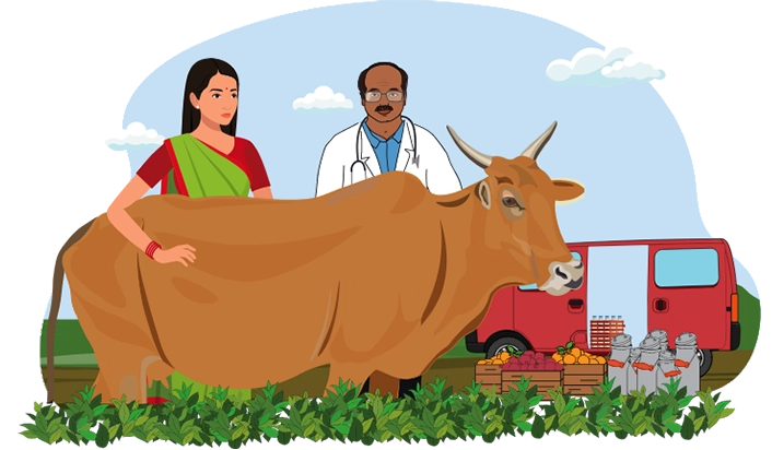 Her dairy business is doing well with regular visits from Moneyboxx veterinary doctor