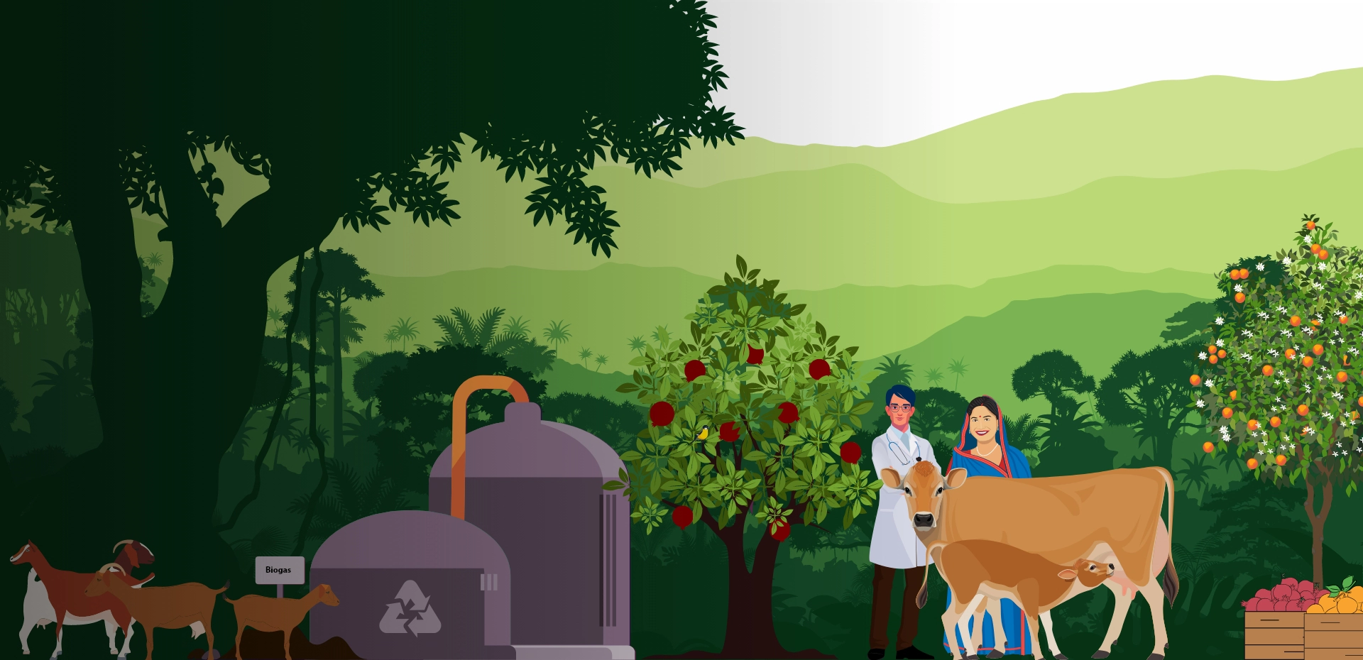 Image of Monyeboxx ecosystem, customers, veterinary doctor, cattles, fruit bearing trees and Biogas digestor