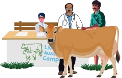 Moneyboxx veterinary doctors offer guidance to our cattle customers at livestock awareness camp
								