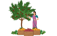 Customer with their fruit bearing tree