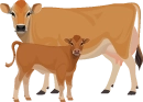Image of a cow and its calf